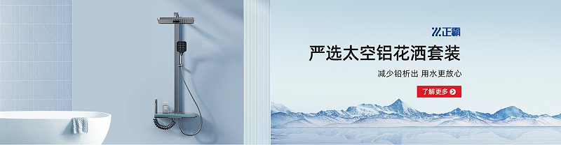 嚴(yán)選太空鋁花灑套裝了解更多